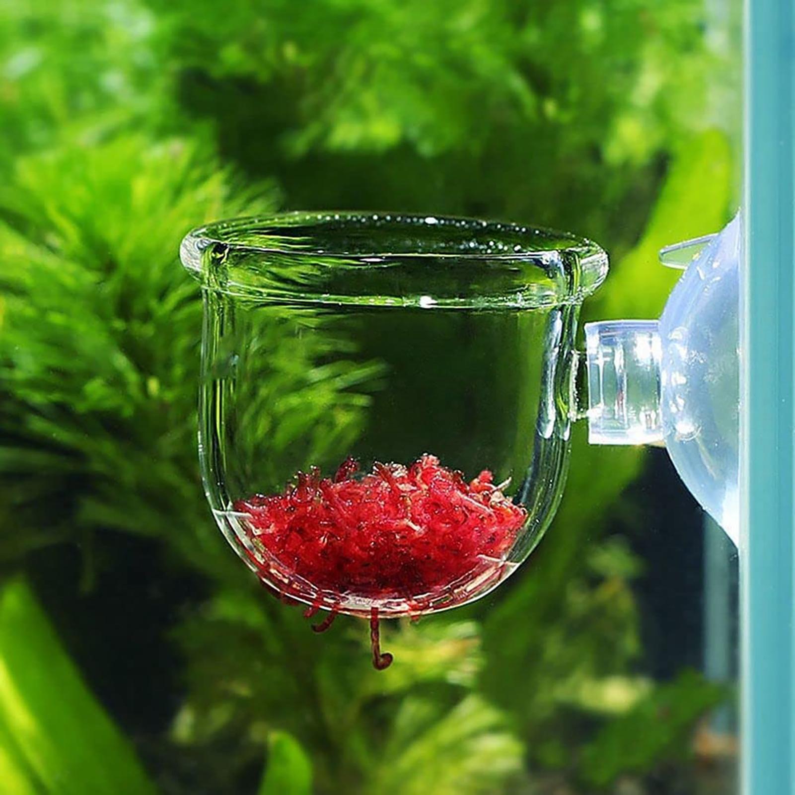 Aquarium Planted Seeds - Aquarium Plant Pot Glass Cylinder Cup