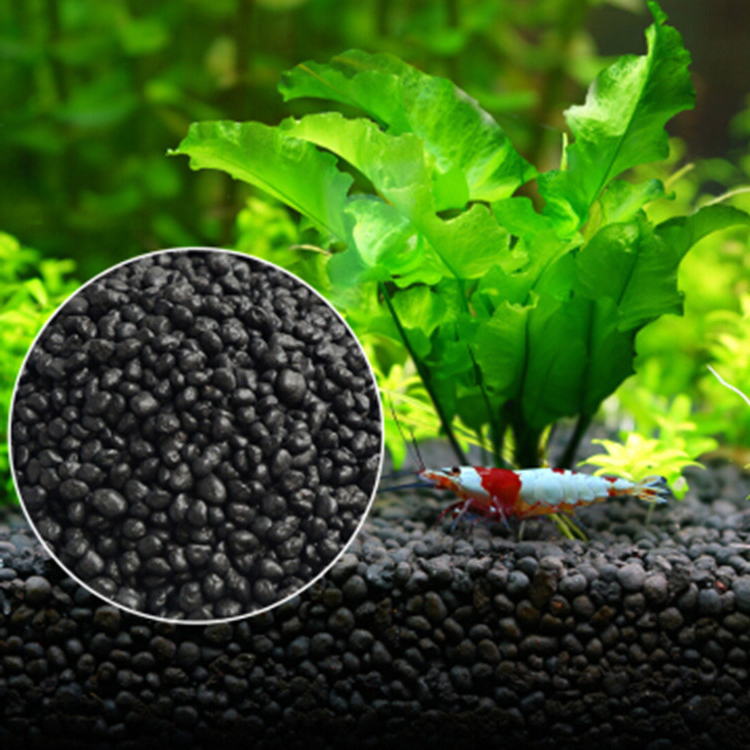 Aquarium Planted Seeds - Aquarium Plant Seeds Soil Fishtank Substrate