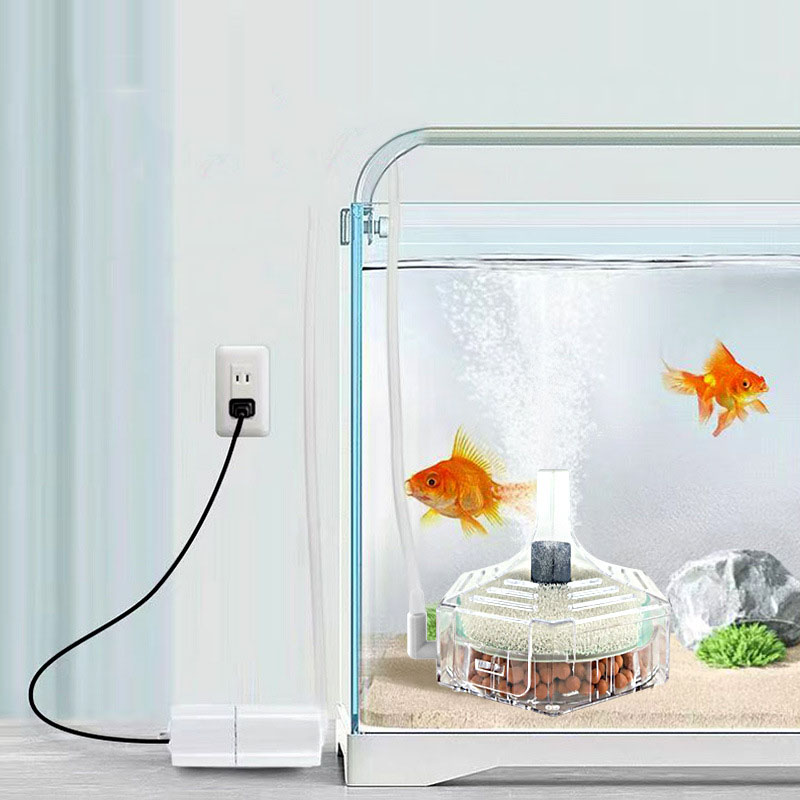 Super Thin Aquarium Fish Tank  - Aquarium Planted Filter 评论和价格