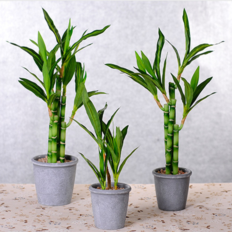 New 40cm Artificial Lucky Bamb - Aquarium Planting 评论和价格
