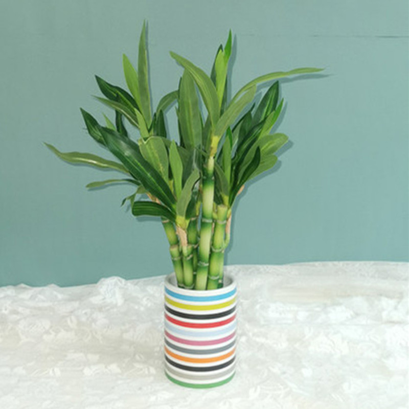 New 40cm Artificial Lucky Bamb - Aquarium Planting 评论和价格