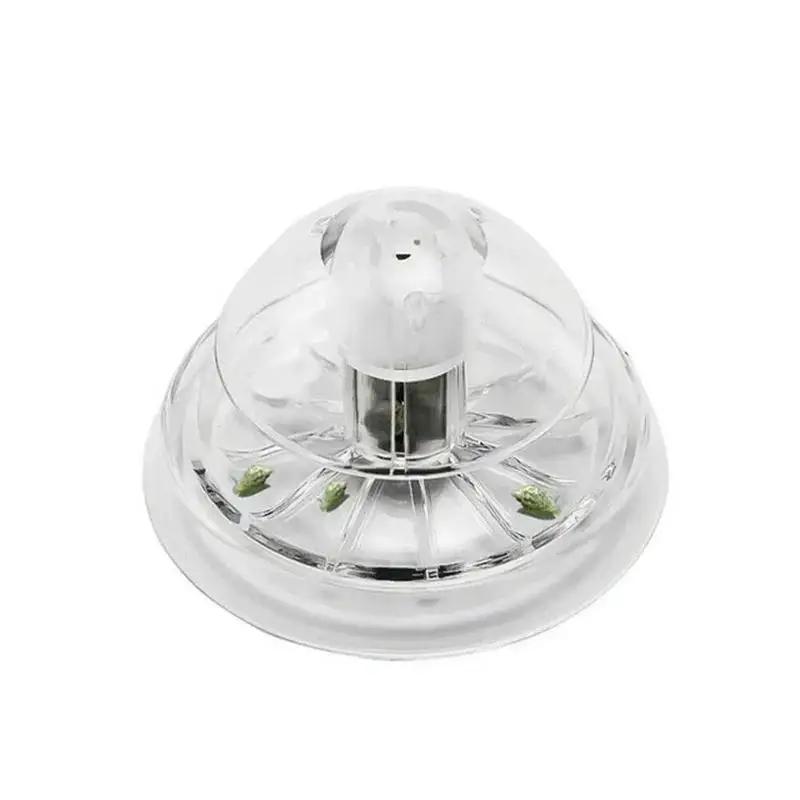 2026 New 6/8CM Clear Plastic S - Aquarium Planting 评论和价格
