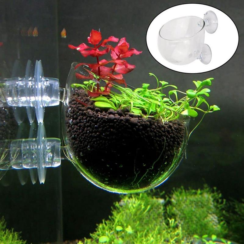 Acrylic Aquatic Plant Cup Aqua - Aquarium Planted Seeds 评论和价格