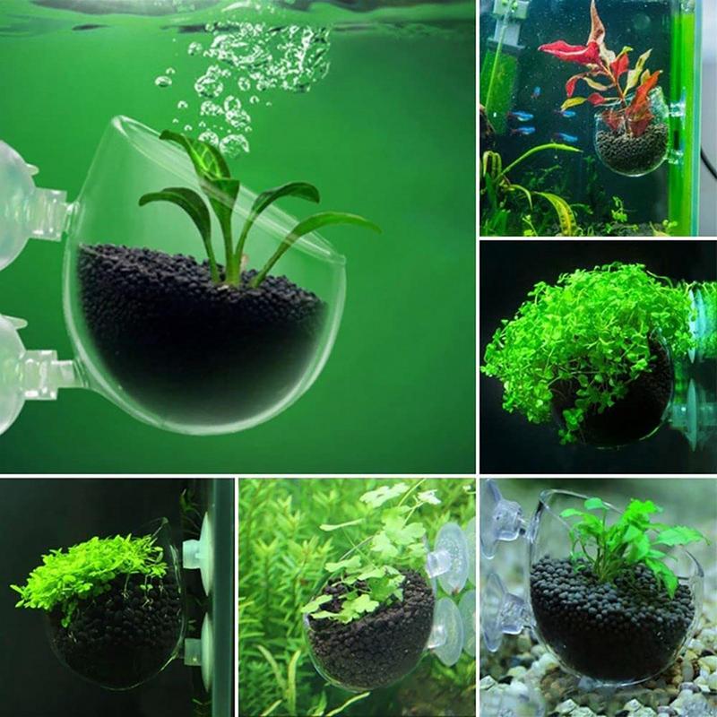 Acrylic Aquatic Plant Cup Aqua - Aquarium Planted Seeds 评论和价格