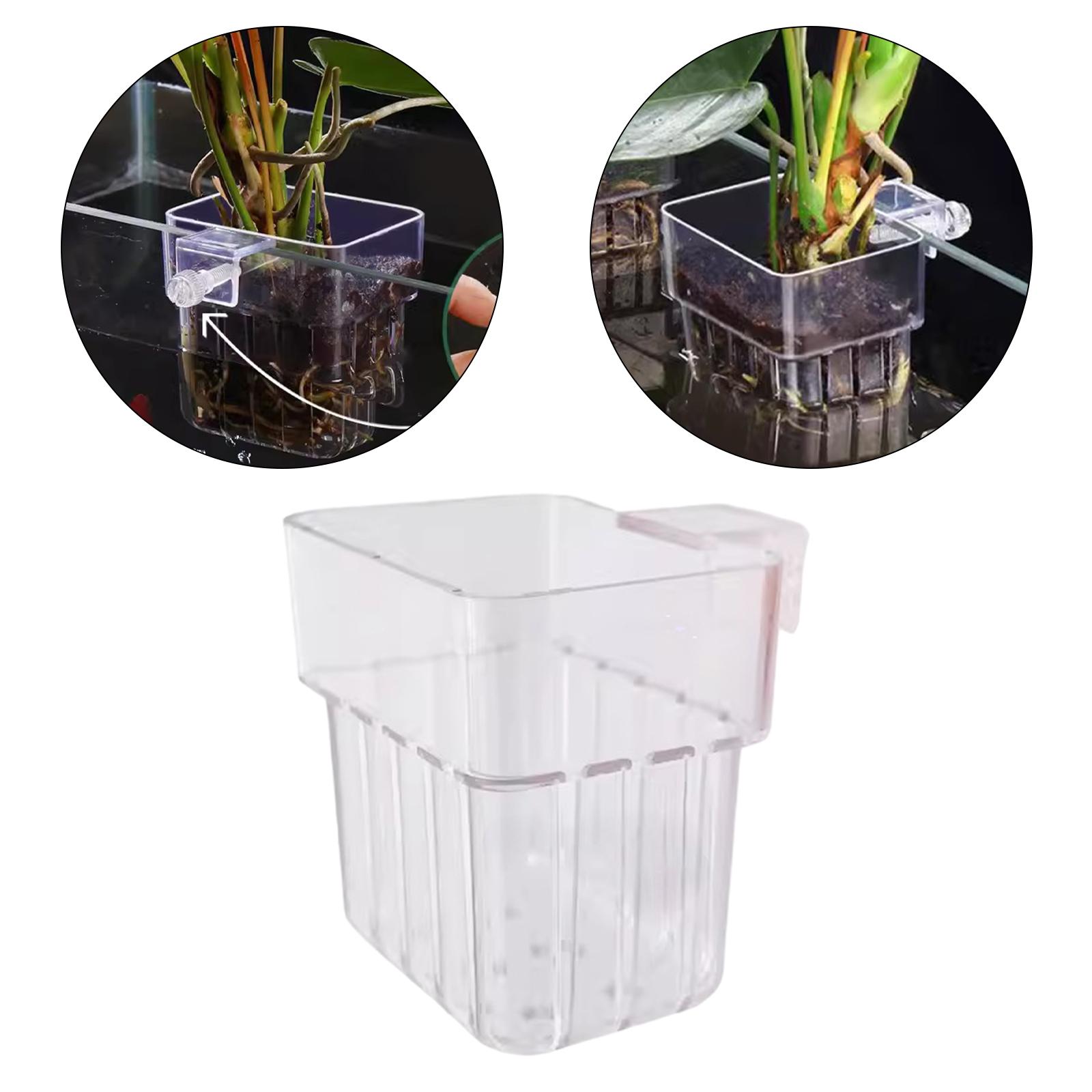 Aquarium Plant Holder Transpar - Planted Aquarium Mini 评论和价格