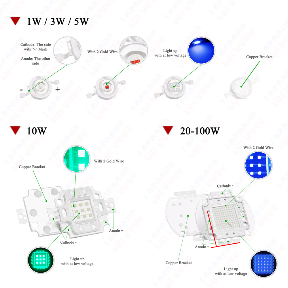 1W 3W 5W 10W 20W 30W 50W 100W  - Aquarium Planted Seeds 评论和价格