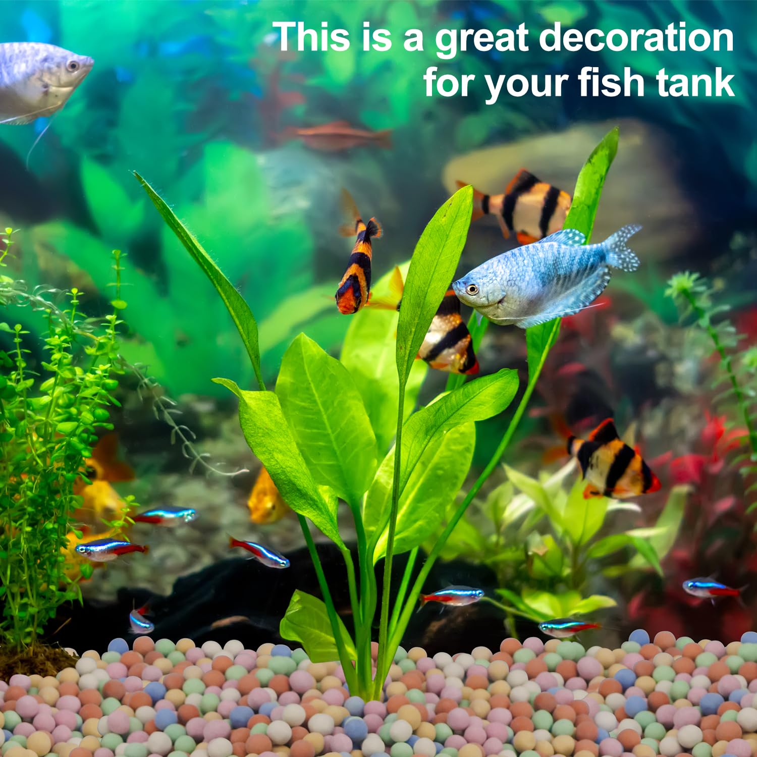 Hydroponic Plant Decorative Co - Aquarium Plant Vitamins 评论和价格