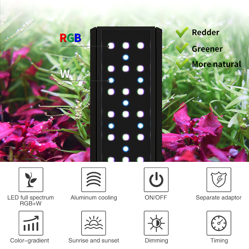 ZXY Hot Sale WEEKAQUA V400 WRG - Aquarium Plants For Sale 评论和价格