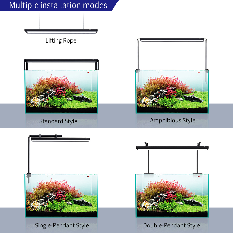 ZXY Hot Sale WEEKAQUA V400 WRG - Aquarium Plants For Sale 评论和价格
