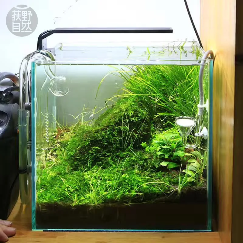 Chihiros C Series ADA Style Pl - Planted Aquarium Mini 评论和价格