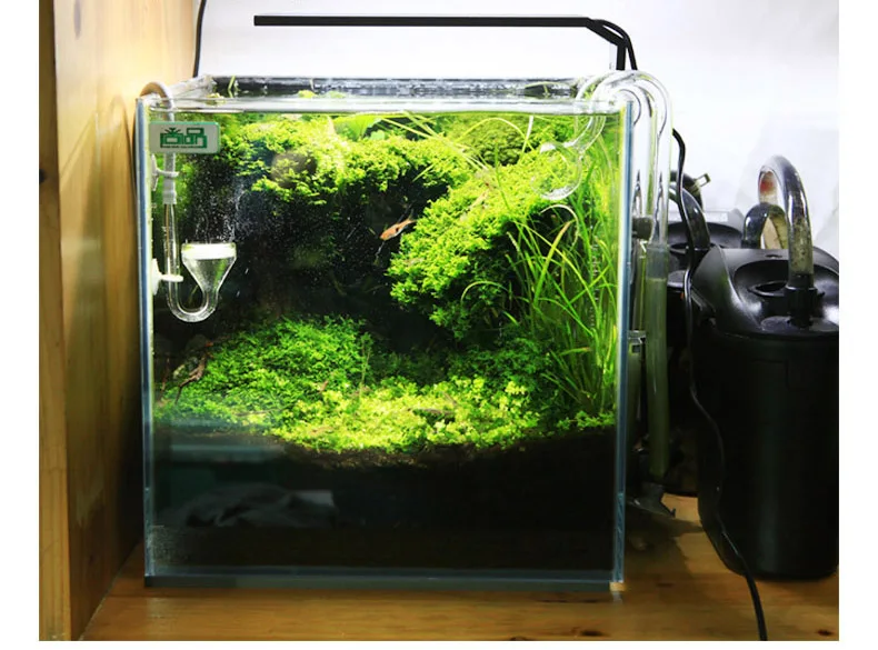 Chihiros C Series ADA Style Pl - Planted Aquarium Mini 评论和价格