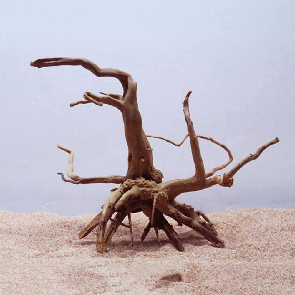 4pc Natural Driftwood Aquarium - Aquarium Plants For Sale 评论和价格