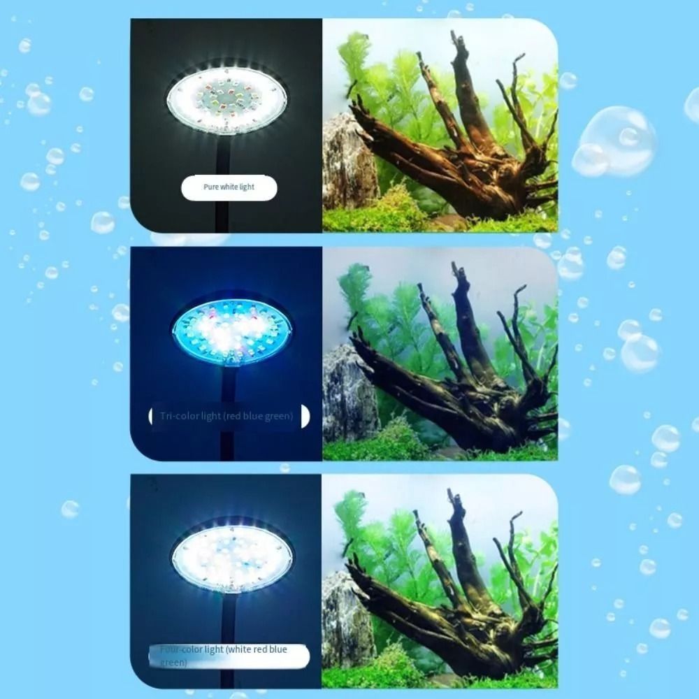New Mini Fish Tank Clip Lamp 5 - Planted Aquarium Mini 评论和价格
