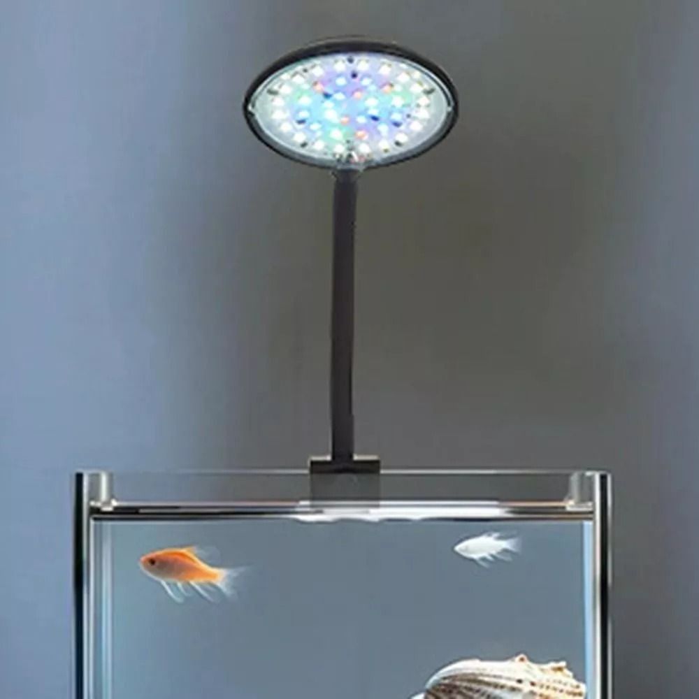 New Mini Fish Tank Clip Lamp 5 - Planted Aquarium Mini 评论和价格