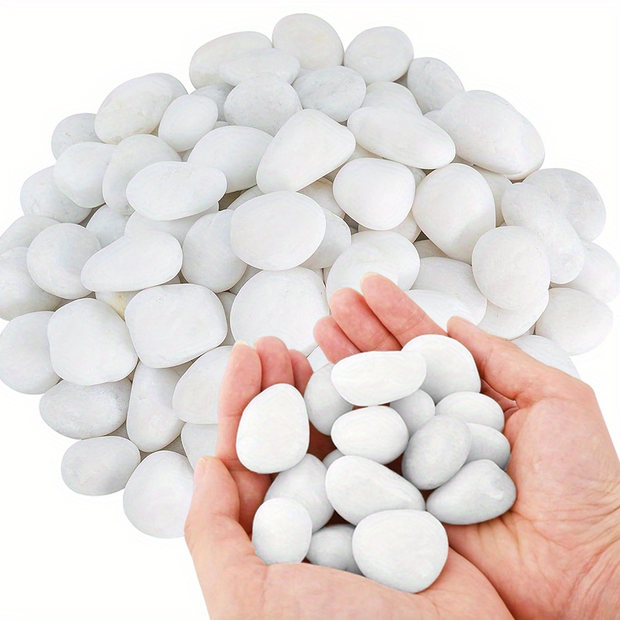 200/400g White High Polished N - Aquarium Planting 评论和价格