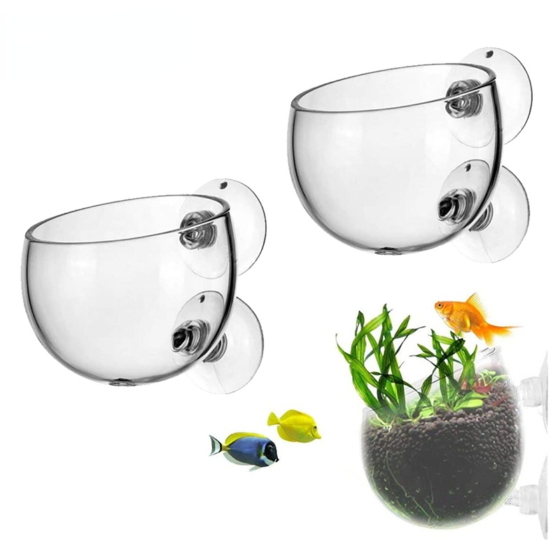 New Aquarium Plant Pot Glass C - Aquarium Planted Seeds 评论和价格