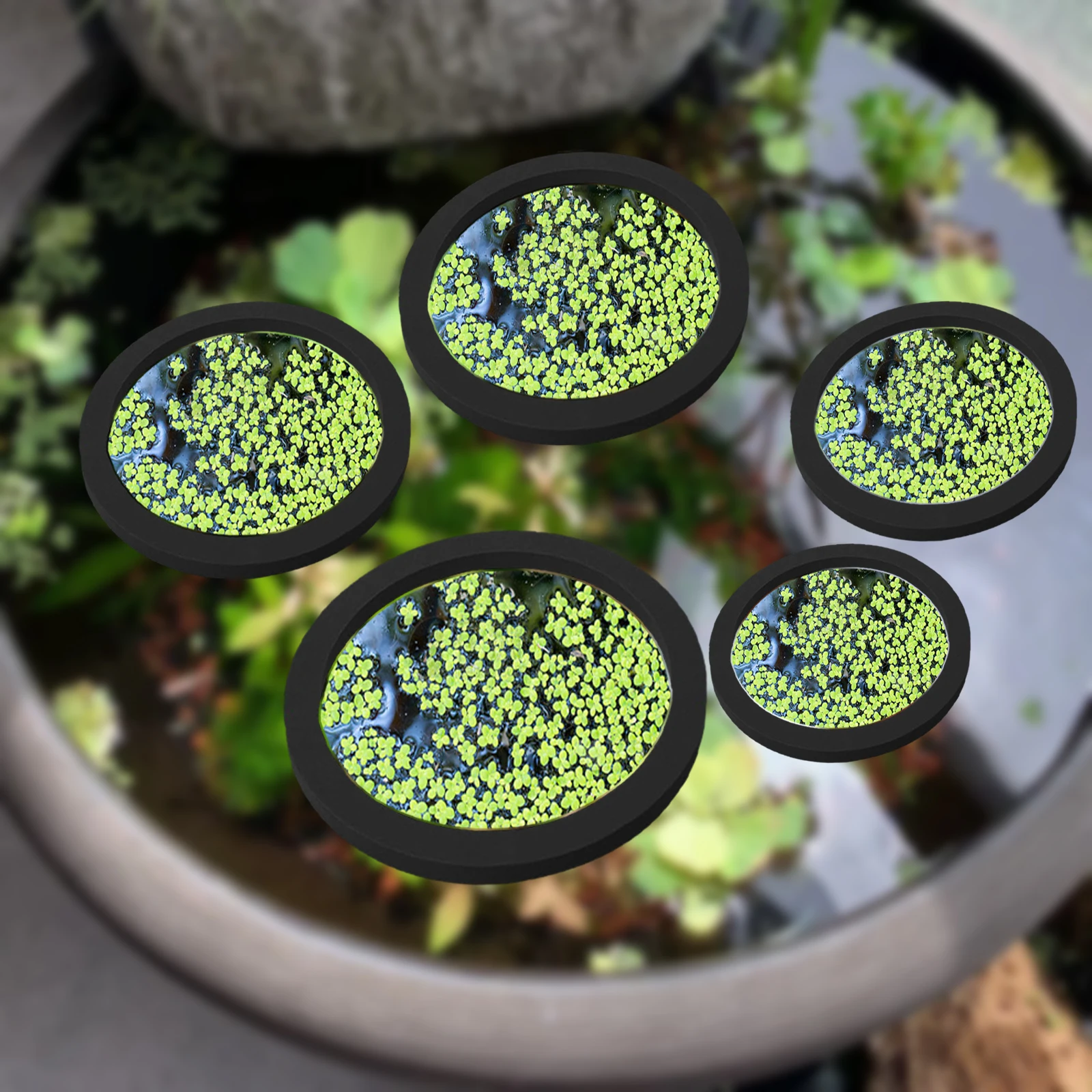 5Pcs EVA Fish Feeding Ring Aqu - Aquarium Planting 评论和价格