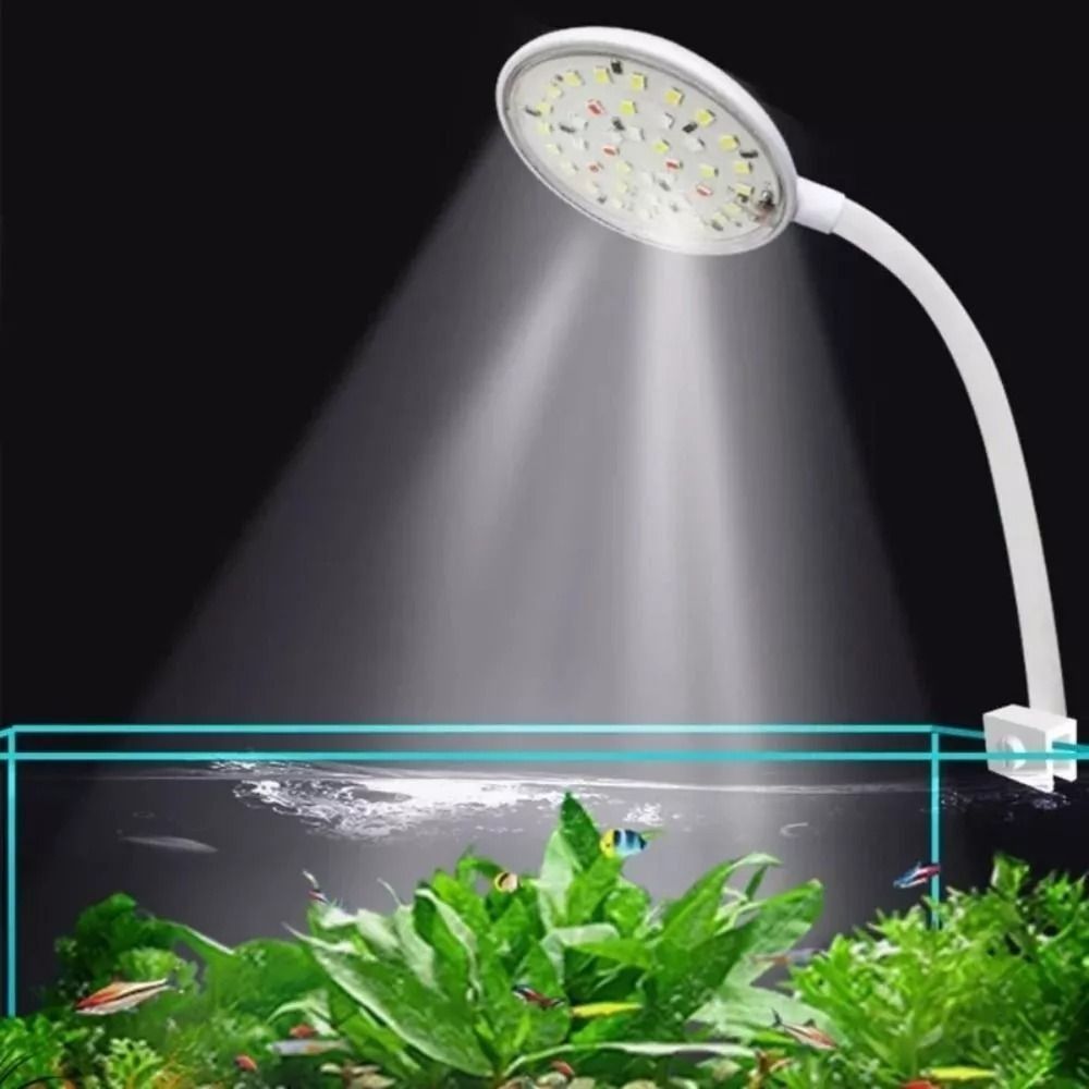 New Mini Fish Tank Clip Lamp 5 - Planted Aquarium Mini 评论和价格