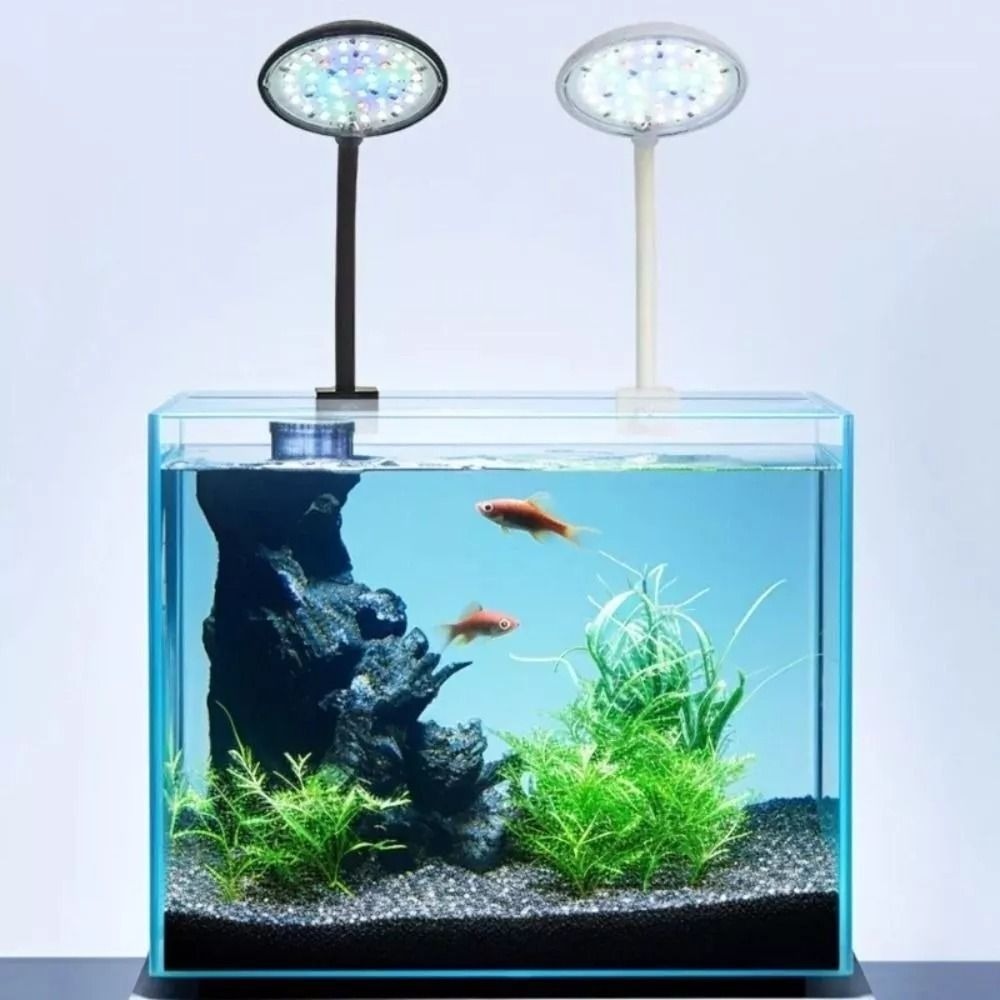 New Mini Fish Tank Clip Lamp 5 - Planted Aquarium Mini 评论和价格