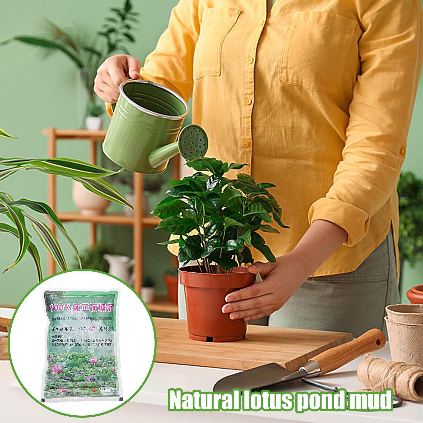 200g/bag Aquarium Soil Natural - Aquarium Planted Seeds 评论和价格