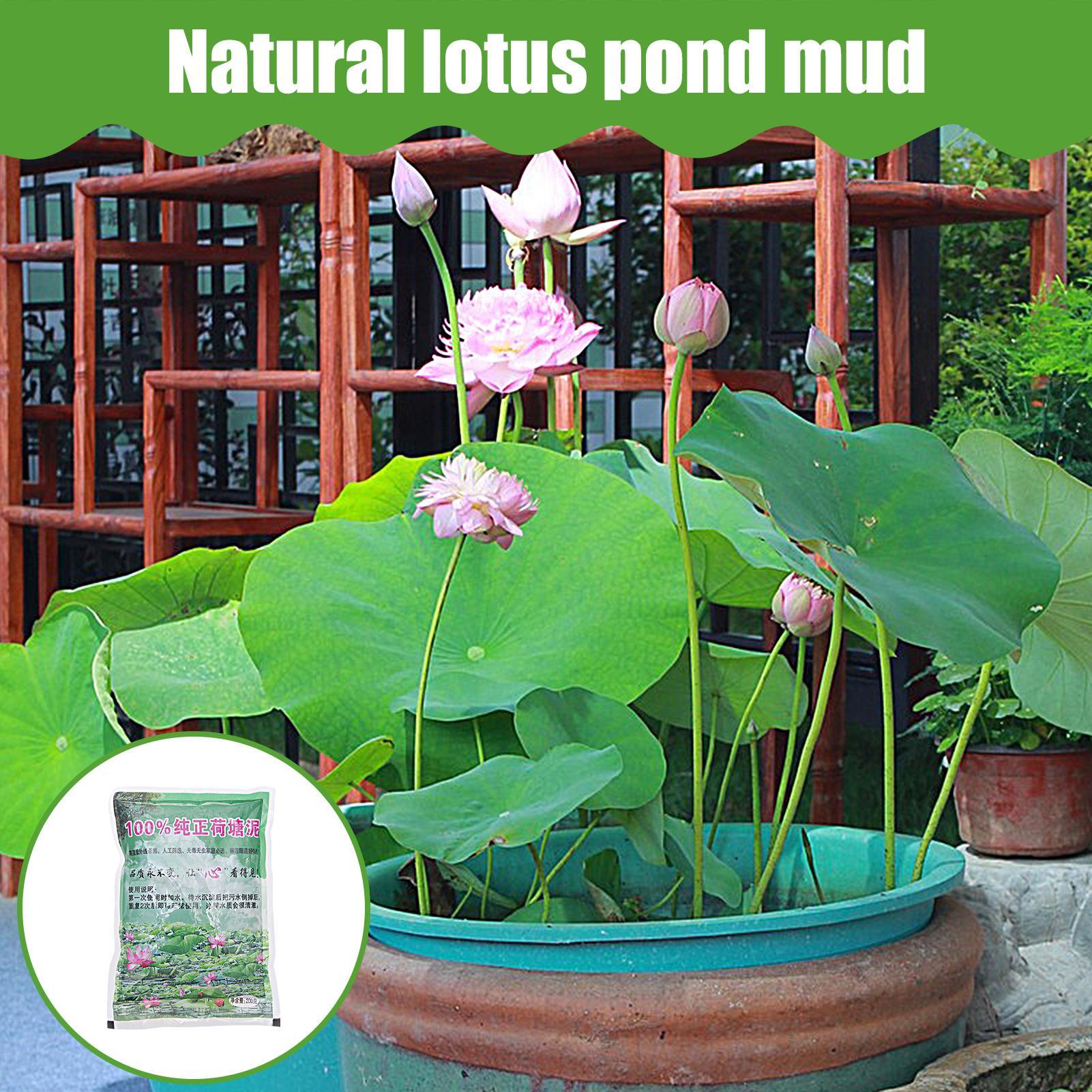 200g/bag Aquarium Soil Natural - Aquarium Planted Seeds 评论和价格
