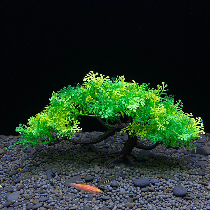 Aquarium Bonsai Tree, Plant, F - Aquarium Planted Seeds 评论和价格
