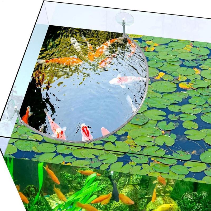 Floating Plant Corral Fish Fee - Aquarium Planted Filter 评论和价格