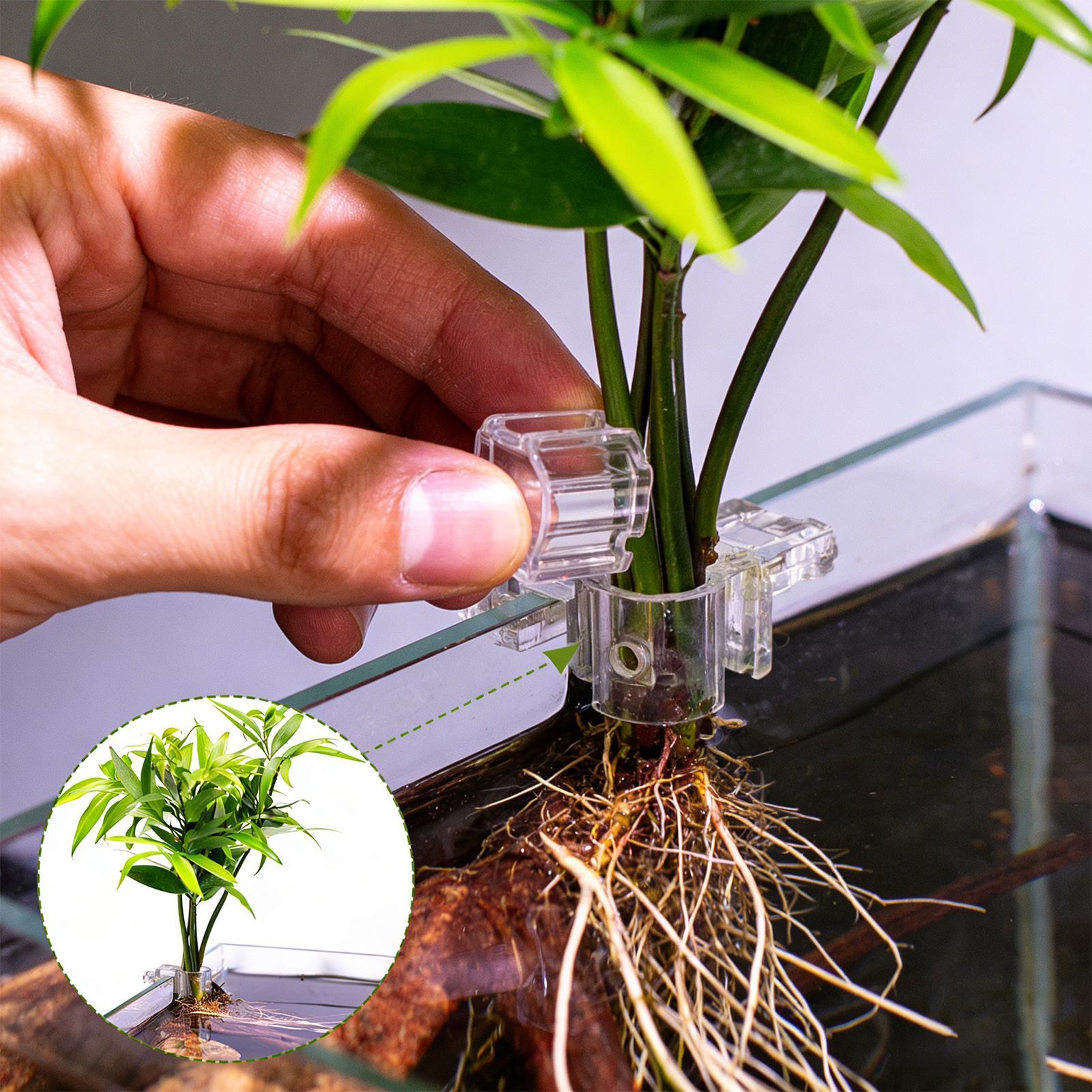 Mini Fish Tank Planter Pot 6Pc - Planted Aquarium Mini 评论和价格
