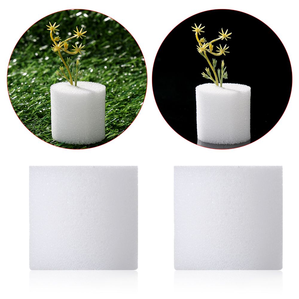 10/50pcs Durable Garden Suppli - Aquarium Planted Seeds 评论和价格