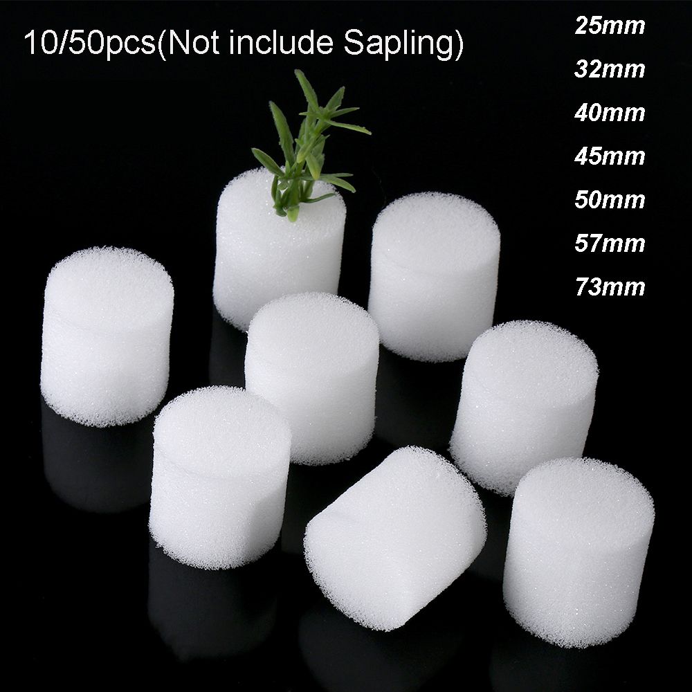 10/50pcs Durable Garden Suppli - Aquarium Planted Seeds 评论和价格