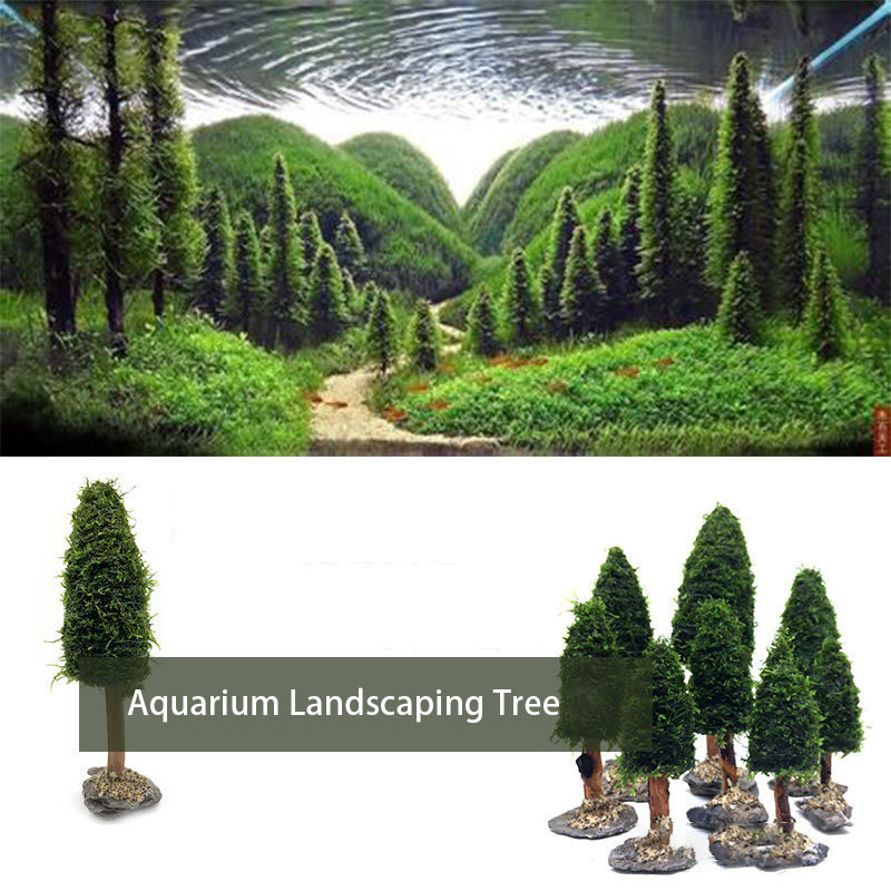 Aquarium Decoration Aquatic Pl - Aquarium Planted Seeds 评论和价格