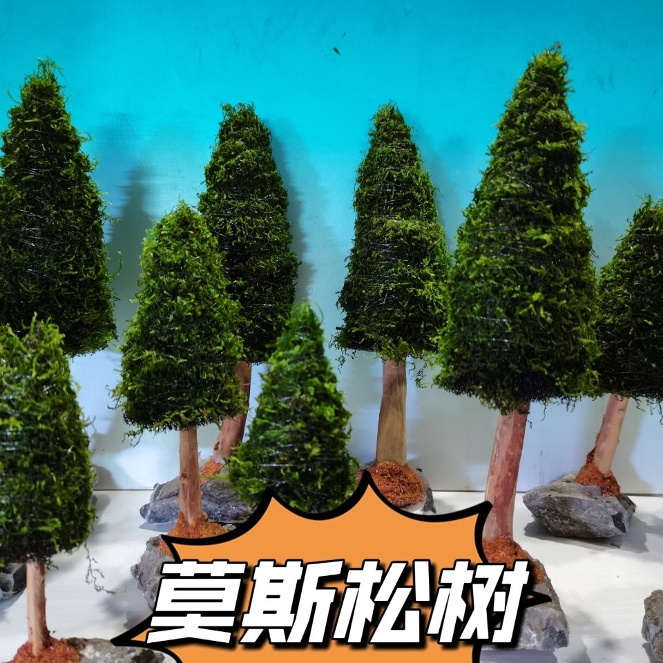 Aquarium Decoration Aquatic Pl - Aquarium Planted Seeds 评论和价格