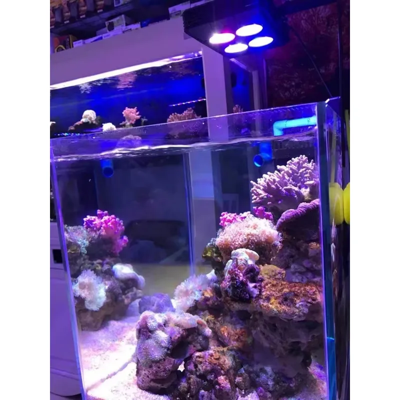 Gako A052 52w Hot Sale Aquariu - Aquarium Plants For Sale 评论和价格