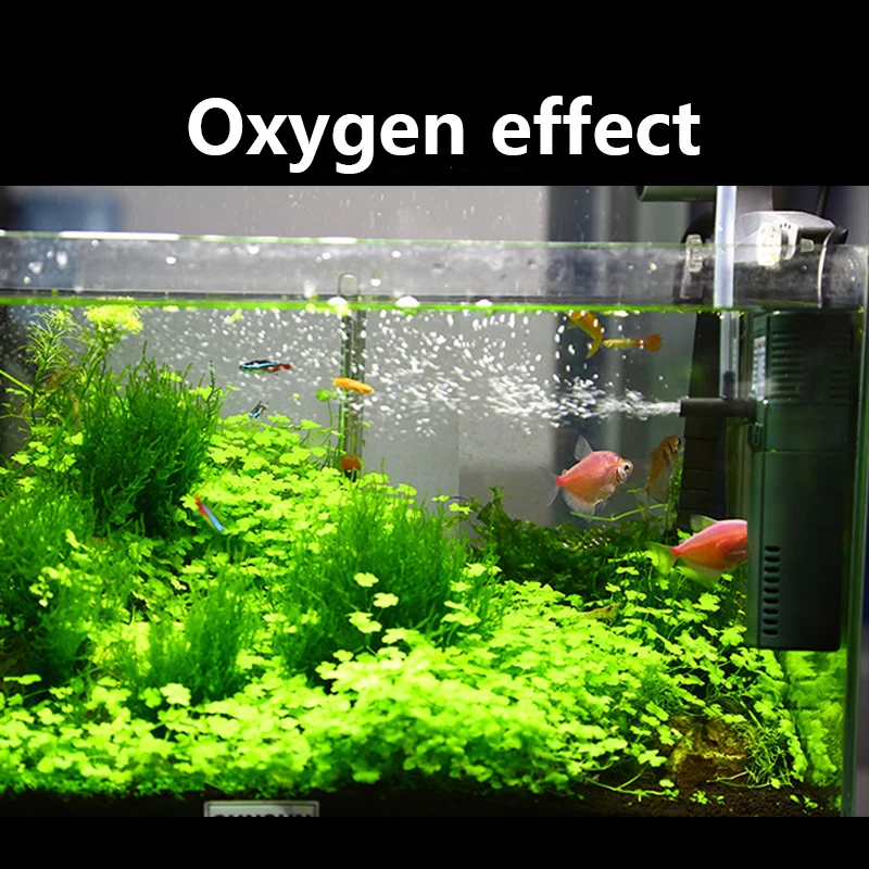 SUNSUN mini nano 111B 311B 611 - Planted Aquarium Mini 评论和价格