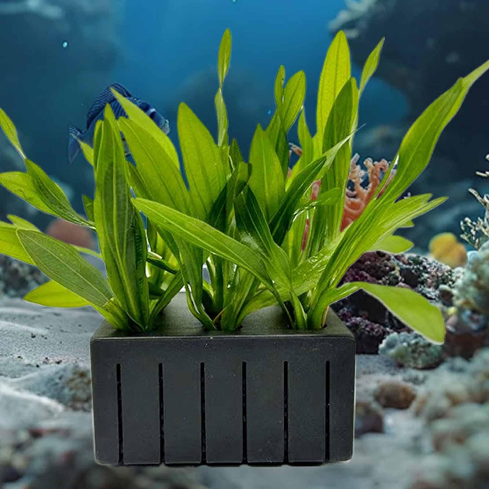 Aquarium Plant Basket PP Plast - Planted Aquarium Mini 评论和价格
