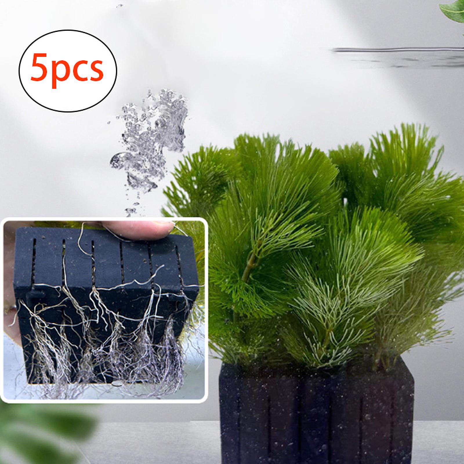 Aquarium Plant Basket PP Plast - Planted Aquarium Mini 评论和价格