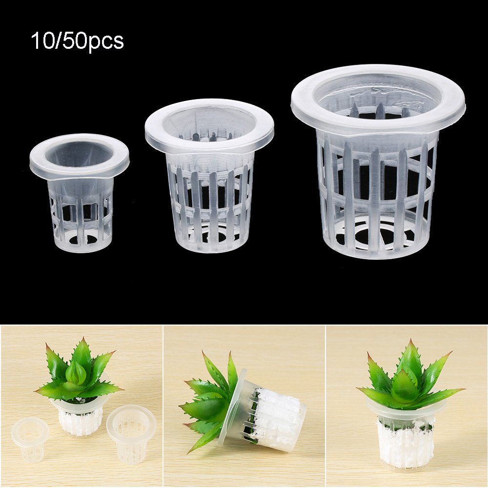 10/50pcs Garden Supplies Plant - Aquarium Planted Seeds 评论和价格