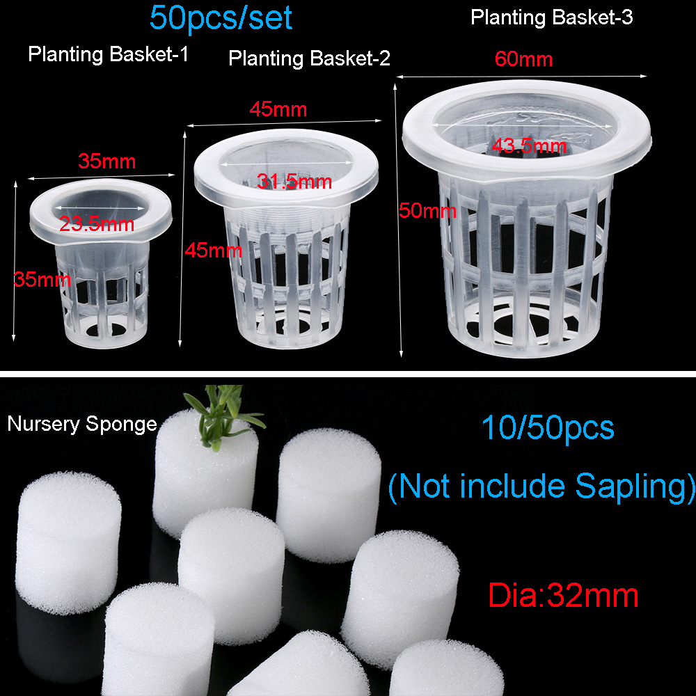 10/50pcs Garden Supplies Plant - Aquarium Planted Seeds 评论和价格